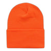 Wholesale First Quality Plain Ski Hat w/Roll Cuff Long Beanie, H8002 - OPT FASHION WHOLESALE